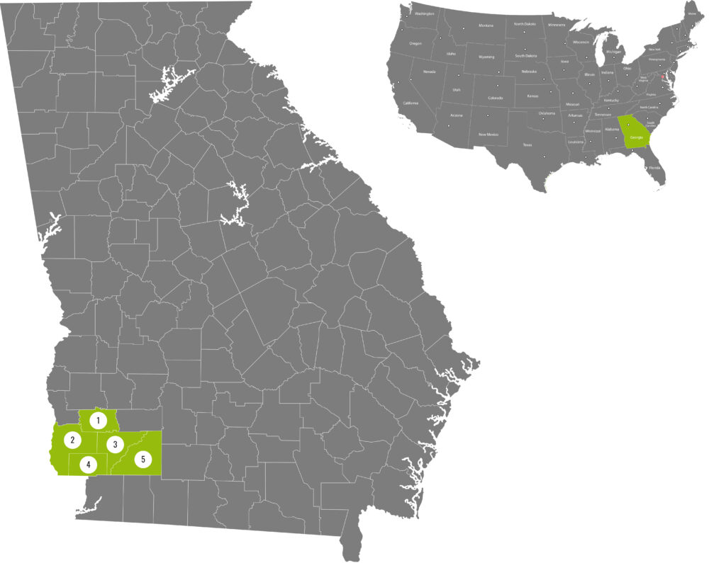 map of Georgia with coverage area highlighted
